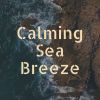 Download track Beautiful Sea Sounds