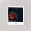 Download track Cultivate Stupid Feelings (Accompaniment)