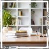 Download track Soothing Melodies Sprout