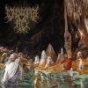 Download track Terminal Lucidity