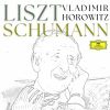 Download track Kinderszenen, Op. 15: X. Fast Zu Ernst