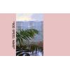 Download track 廟街 - Temple Street