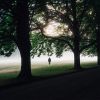 Download track Interim