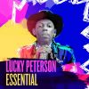 Download track Don't Try To Explain