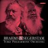Download track 02. Symphony No. 4 In E Minor, Op. 98 II. Andante Moderato