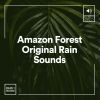 Download track Regal Rain, Pt. 30