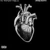 Download track Fall N Luv