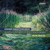 Download track 07. Petr Skalka - Suite No. 1 In G Major BWV 1007 VI. Gigue