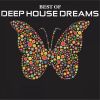 Download track Introspector