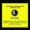 Download track Minimalism - Original Mix