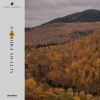 Download track Ocean's View