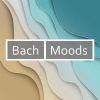 Download track Concerto In D Minor, BWV 974 - For Harpsichord / Arranged By Bach From: Oboe Concerto In D Minor By Alessandro Marcello (1685-1750): 3. Presto