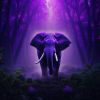 Download track Radiant Horizons