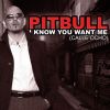 Download track I Know You Want Me (Calle Ocho) (More English Extended Mix)
