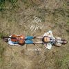Download track Where Will I Find Rest