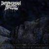 Download track The Metamorphosis