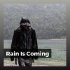 Download track Rain Is Refreshing