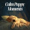 Download track Harmony's Hardcover Haven