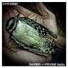 Download track With A Gun In My Hand