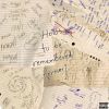 Download track Butterfly Doors