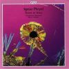Download track 07. Trio Op. 10, No. 2 In D Major - Rondo (Allegretto)