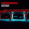 Download track Ecstasy (Instrumental)