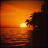 Download track Samba Da Noite Estrelada (Samba Of The Starry Night)
