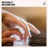Download track Smooth Rhythms