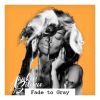Download track Fade To Gray
