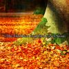 Download track Creative Thoughts