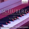 Download track Piano Sonata No. 18 In A Minor, D. 845: IV. Rondo. Allegro Vivace