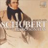 Download track D. 845-3. Scherzo (Allegro Vivace), Trio (Un Poco Piu Lento) (Sonate Nr. 16 In A-Moll Op. 42)