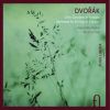 Download track Serenade For Strings In E Major, Op. 22, B. 52: V. Finale, Allegro Vivace