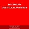 Download track Destruction Derby (Original Mix)