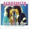 Download track Toys In The Attic (Live)