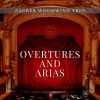 Download track Die Zauberflöte, K. 620- -Ouverture-