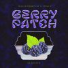Download track Berry Patch (Halogenix Remix)