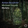 Download track Bruckner Ave Maria, WAB 6