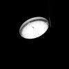 Download track Fly Trap