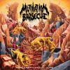Download track Spontaneous Human Combustion