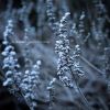 Download track Another Path To Winter