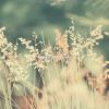 Download track Bright Ambiance For Morning Routines