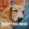Download track Relaxed Poodle