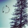 Download track Senses Heightened By Darkness