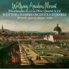 Download track Divertimento No. 17 In D Major For 2 Violins, Viola, Bass And 2 Horns K. 334 (320b) - II. Theme And Variations 