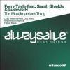 Download track The Most Important Thing (Mhammed El Alami Remix)