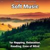 Download track Relaxing Music To Sleep By