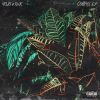 Download track Run Up A Check