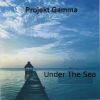 Download track The Reef
