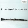 Download track Clarinet Sonata In D Major, BV 138- I. Allegro Deciso
